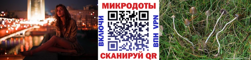 Псилоцибиновые грибы прущие грибы  дарнет шоп  Ардон 